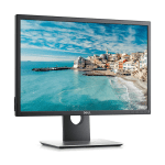dell p2217